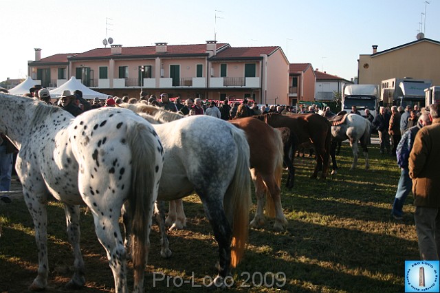 In prà della Antica Fiera di Arsego (10).JPG